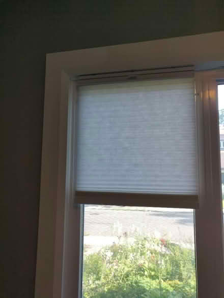 Photo of free Pull-down cellular blinds (Old Ottawa south) #3