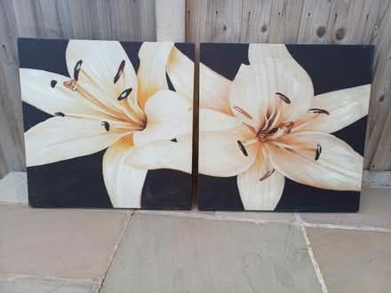 Photo of free Canvas wall pictures (DE5 Codnor) #3