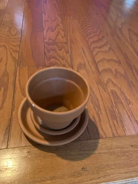 Photo of free plant pots (Wheaton, MD) #1