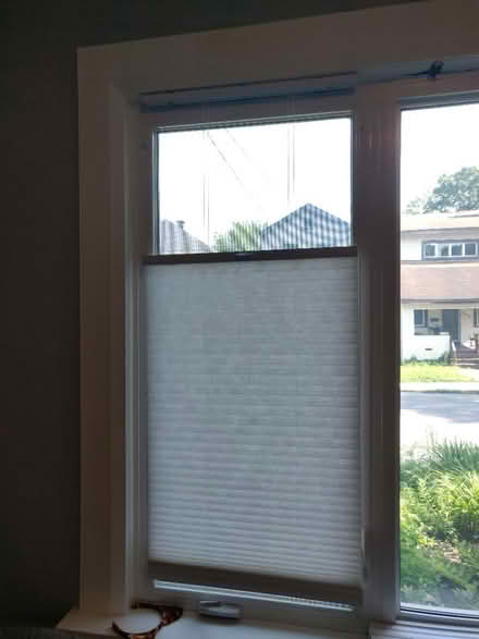 Photo of free Pull-down cellular blinds (Old Ottawa south) #1