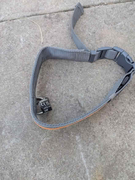 Photo of free Dog Collar (ST6) #1