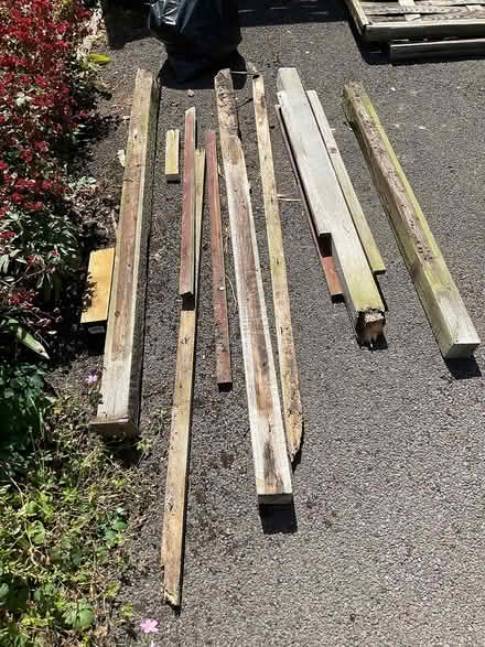 Photo of free Wood posts and fencing (Garsington, Oxford OX44) #2