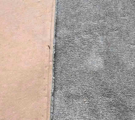 Photo of free Grey carpet (Hastings TN34) #2