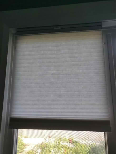 Photo of free Pull-down cellular blinds (Old Ottawa south) #2
