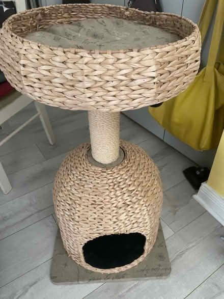 Photo of free Cat Tree (Brandon) #1