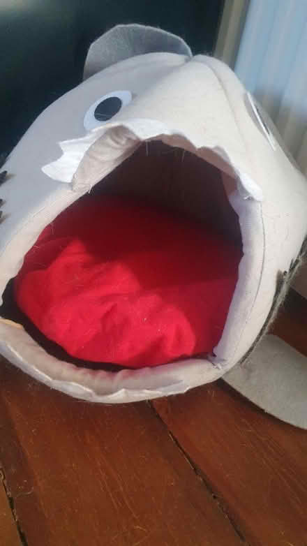 Photo of free Shark-shaped cat bed (Twickenham) #2