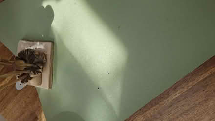 Photo of free Desk cover green mat (Twickenham) #4