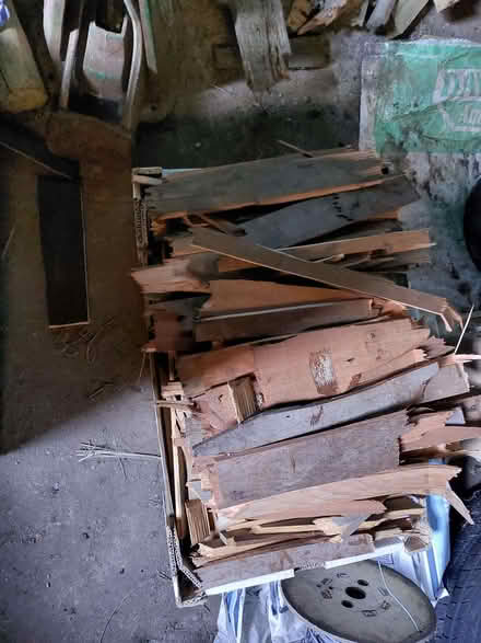 Photo of free Dry kindling, firewood (Sprouston TD10) #4