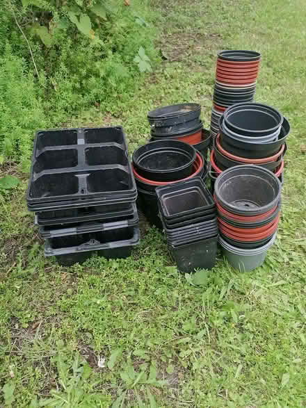 Photo of free Assorted plant pots (Dorchester) #1