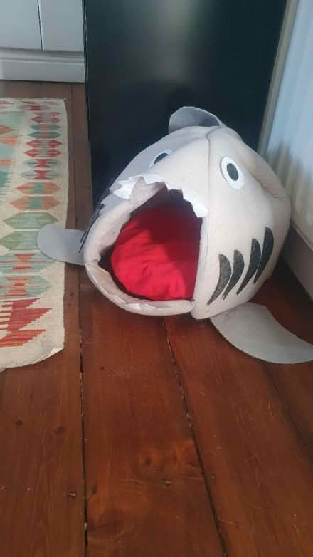 Photo of free Shark-shaped cat bed (Twickenham) #1