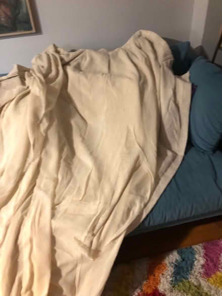 Photo of free Tan curtains (East Flatbush) #2