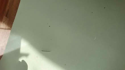 Photo of free Desk cover green mat (Twickenham) #3