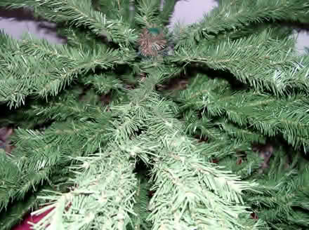 Photo of free Real-Look 6’0” Christmas Tree (Crowthorne RG45) #3