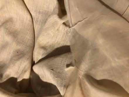 Photo of free Tan curtains (East Flatbush) #3