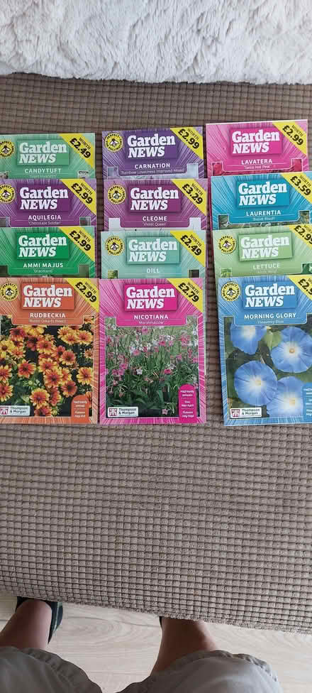 Photo of free Seeds (Shifnal TF11) #1