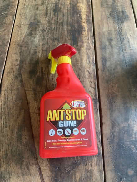 Photo of free Ant stop spray (Colwall Stone WR13) #1