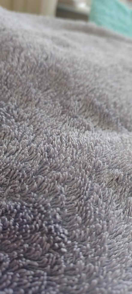 Photo of free Towels (Billericay) #2
