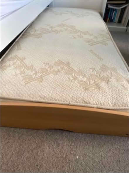 Photo of free Trundle bed (TN1 2ed) #3