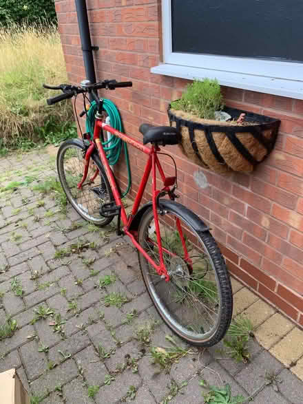 Photo of free Cycle! On Freecycle hehe (Bartley Green B32) #1