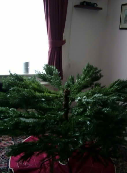 Photo of free Real-Look 6’0” Christmas Tree (Crowthorne RG45) #4