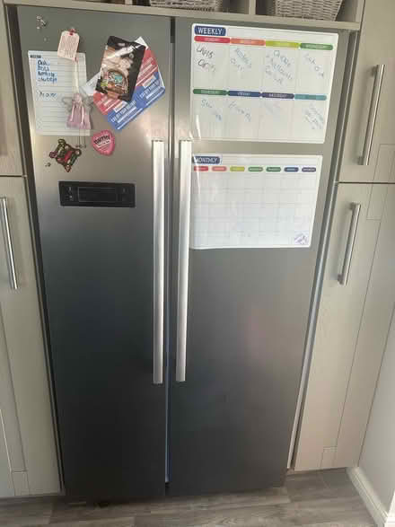 Photo of free Montpellier (S6 Hillsborough) #2