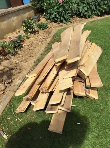Photo of free Pine Flooring Boards (Steeple Aston OX25) #1