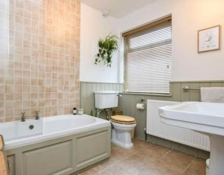 Photo of free Half a tin of sage / green paint (Roundhay LS8) #1