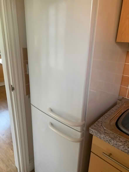 Photo of free Fridge freezer (Trowse NR14) #1