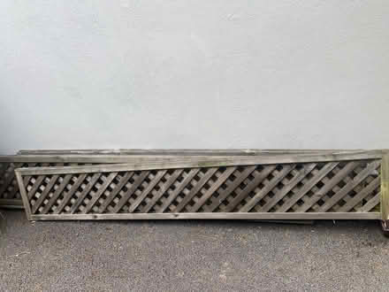 Photo of free 4 fences and 4 trellises to give away (Mill Hill Circus NW7) #2