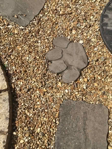 Photo of free Garden Slabs (DY6 Kingswinford) #2