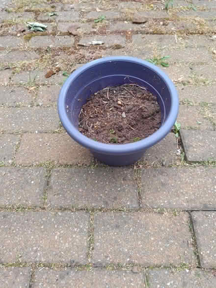 Photo of free Purple plastic pot with soil (Letchworth SG6) #2