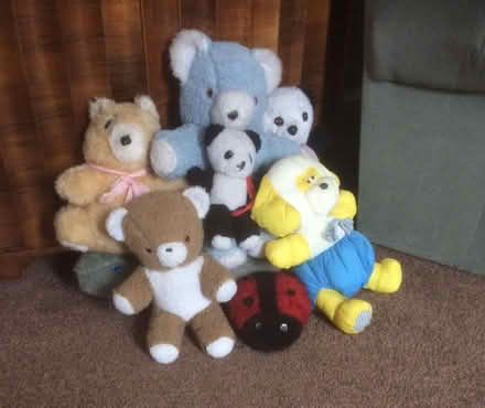 Photo of free Childrens Soft Toys (Penrith CA11) #1
