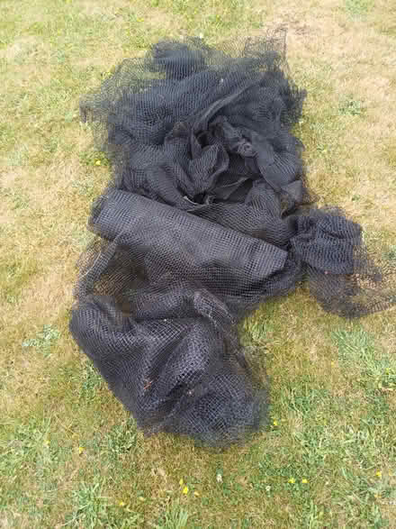 Photo of free Garden netting (Chelmsford CM1) #1