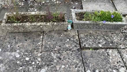 Photo of free 2 planters (Weston super mare) #1