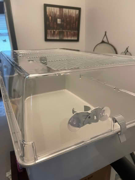 Photo of free Small animal cage (South Park OX4) #3