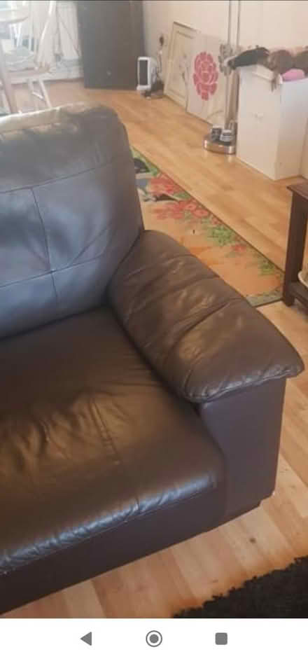Photo of free Used leather double sofa bed (Lower Edmonton, N9) #1