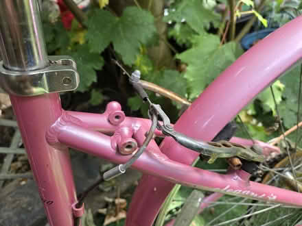 Photo of free Adults Ladies Pink Vintage Bike (Mitcham CR4) #4