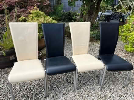 Photo of free Dining chairs (SY4 Bomere Heath) #1