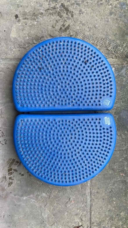 Photo of free Wobble Board (New forest, Bramshaw) #1
