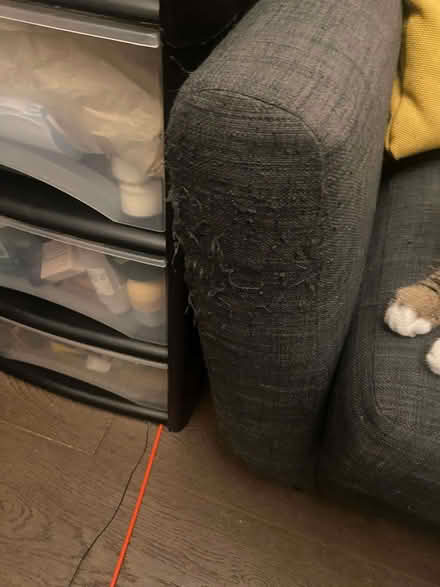 Photo of free Charcoal grey sofa (Manor Court E10) #2
