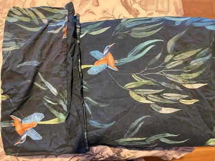 Photo of free Kingfisher design bedding (king size) (Dunblane FK15) #1