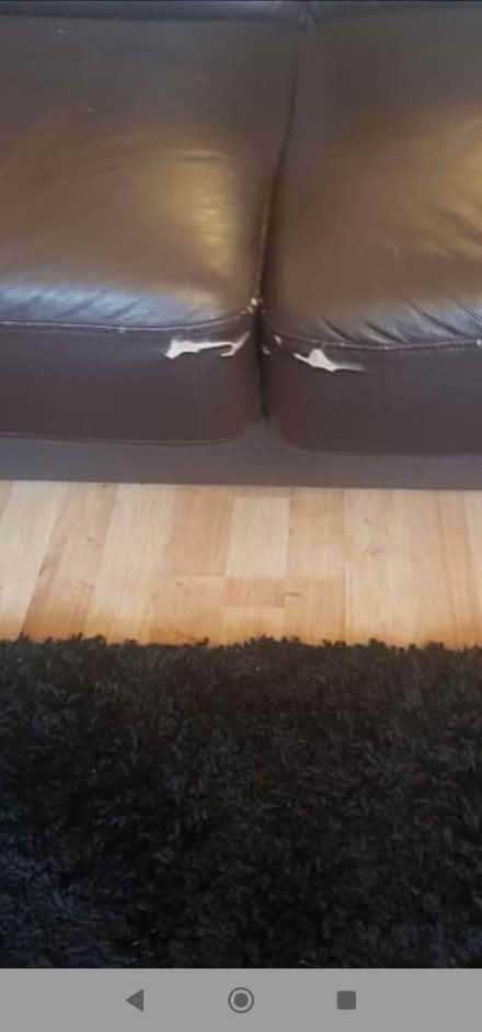 Photo of free Used leather double sofa bed (Lower Edmonton, N9) #4