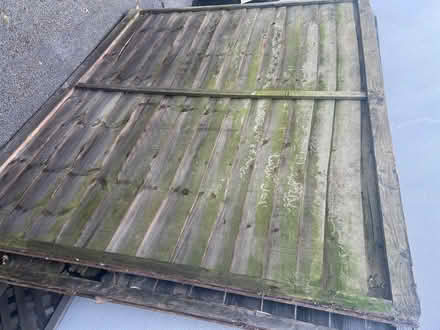 Photo of free 4 fences and 4 trellises to give away (Mill Hill Circus NW7) #1