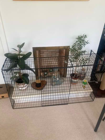 Photo of free Fire place guard (Edinburgh, Corstorphine) #1