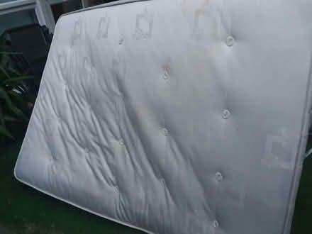 Photo of free Old small double divan bed (N8 North London) #3