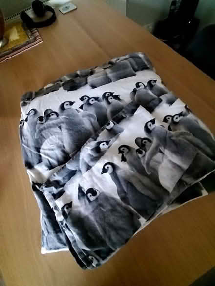 Photo of free Double duvet cover and pillow cases (Cubbington CV32) #1