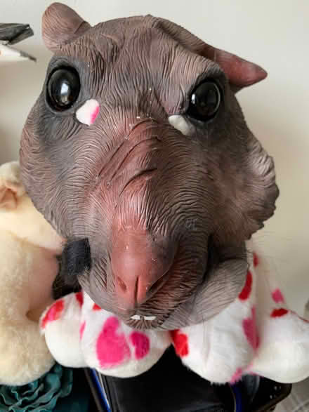 Photo of free Master Splinter adult mask (Far Bletchley MK3) #1