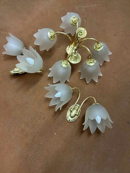 Photo of free Ceiling and wall lights (Dronfield S18) #1