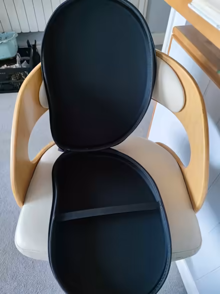 Photo of free Harp Lyre Hard Case (Swanage BH1) #3