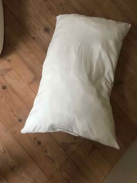 Photo of free Ikea Axag Pillow - Good Condition (Finstock Heath OX7) #1